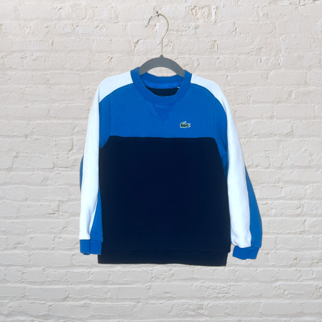 Lacoste color shop block sweater