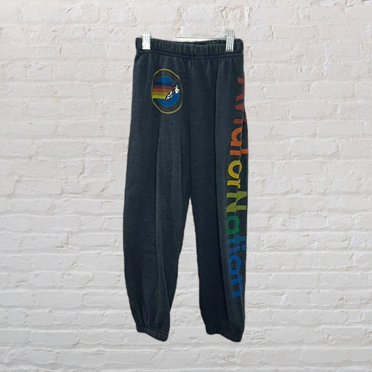 Aviator Nation Branded Joggers (6)