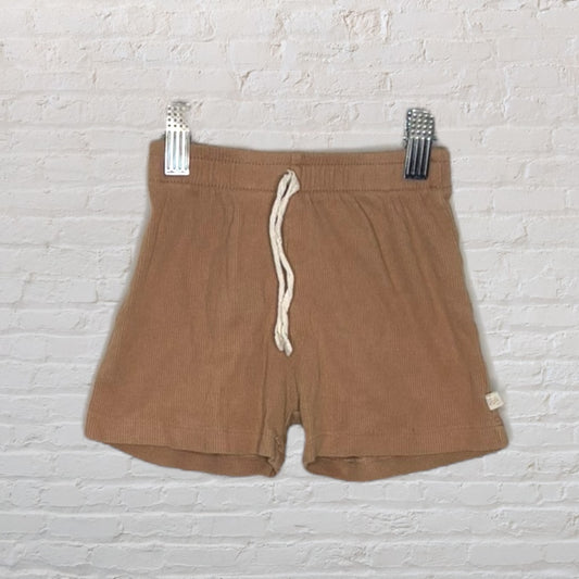 Jax and Lennon Ribbed Shorts (4T)