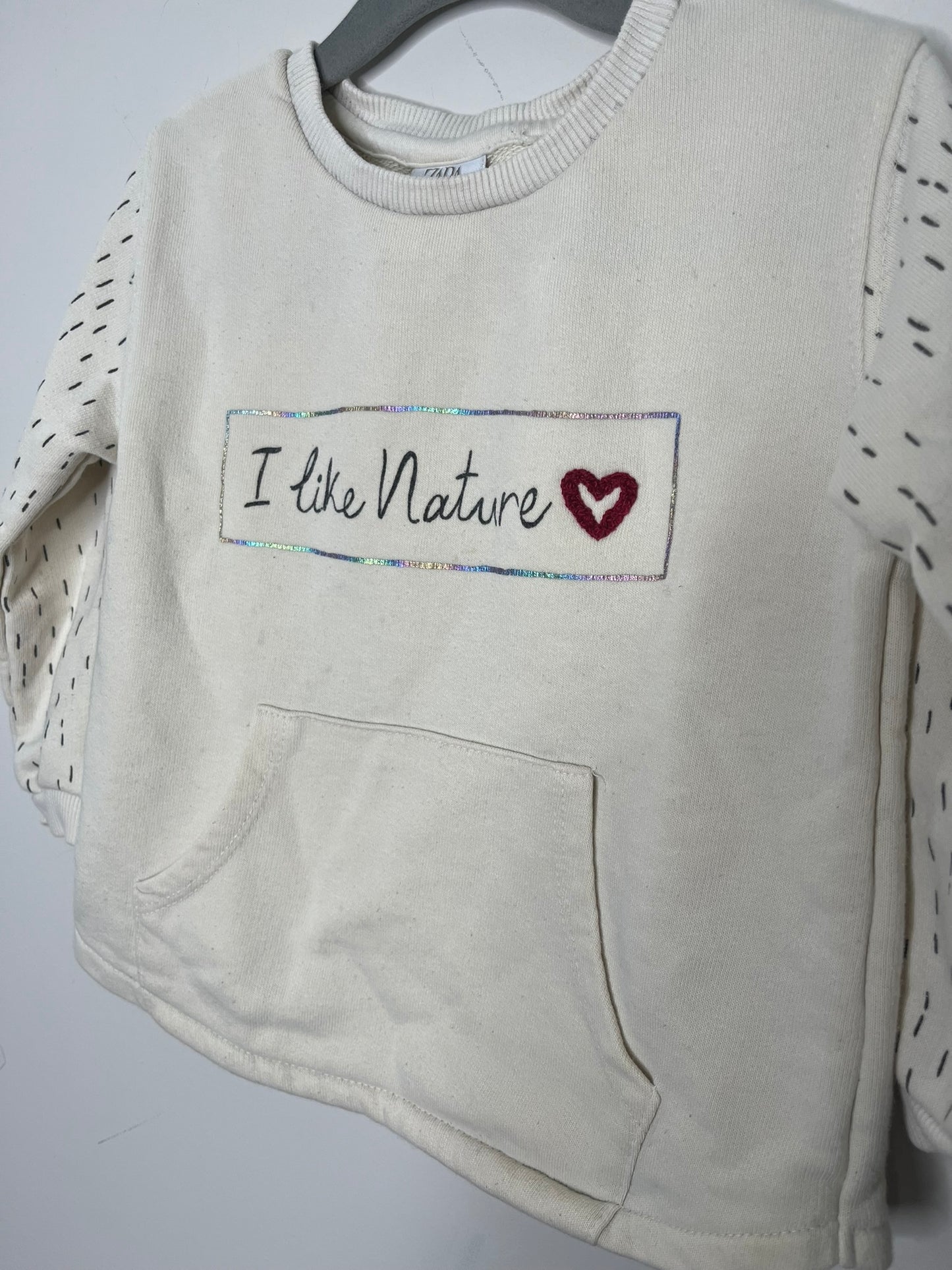 Zara 'I Like Nature' Sweater (3T)