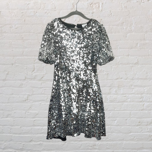 Zara Sequin Party Dress (10)