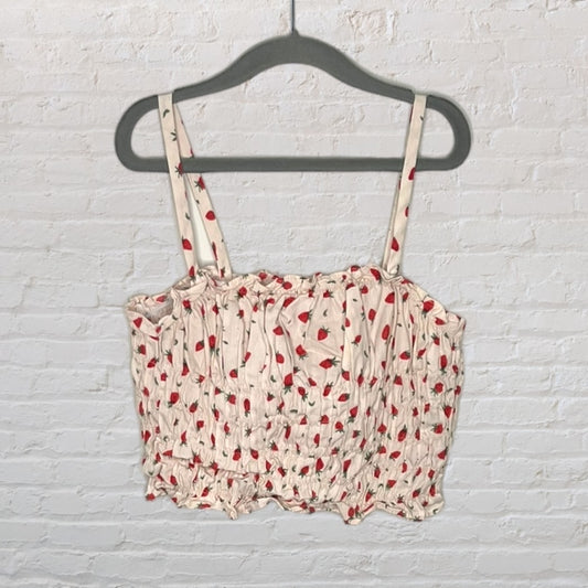 Zara Ruched Strawberry Crop Top (10)