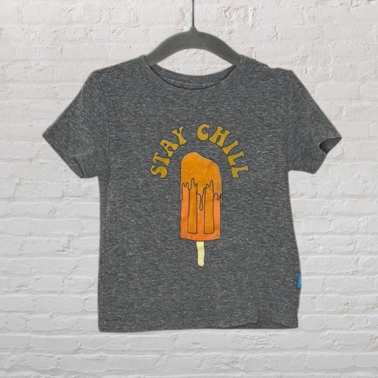 Grey T-shirt with a 'Stay Chill' popsicle graphic print, hanging on a hanger.